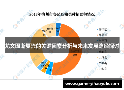 尤文图斯复兴的关键因素分析与未来发展路径探讨