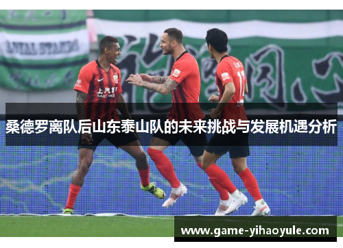 桑德罗离队后山东泰山队的未来挑战与发展机遇分析