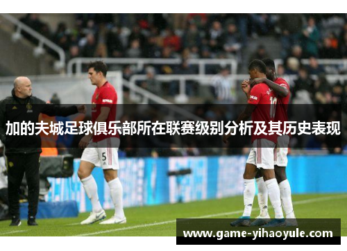 加的夫城足球俱乐部所在联赛级别分析及其历史表现